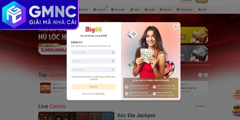 Hướng dẫn cách tham gia cá cược tại nhà cái online Big88
